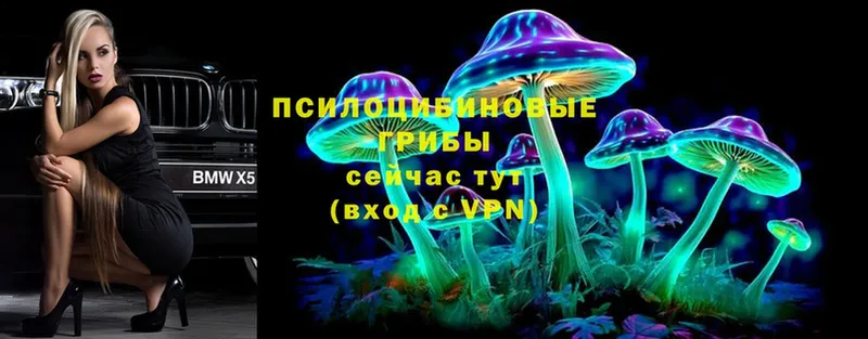 Псилоцибиновые грибы Magic Shrooms  Кулебаки 